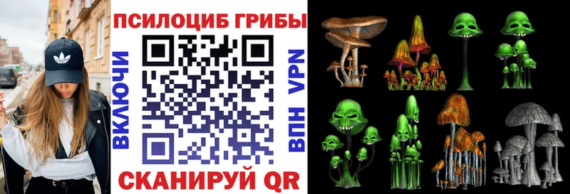 Галлюциногенные грибы Magic Shrooms  Купить где  Надым 